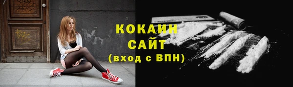шишки Наволоки