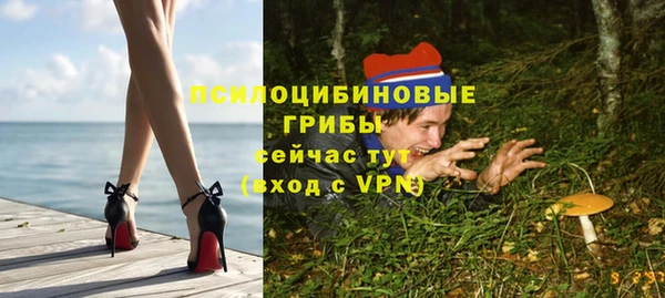 2c-b Михайлов