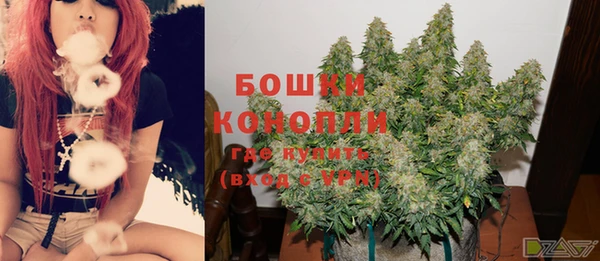 PSILOCYBIN Михайловск