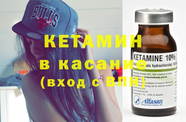 шишки Наволоки