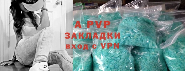 PSILOCYBIN Михайловск