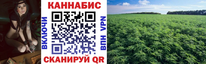 Каннабис VHQ Амурск